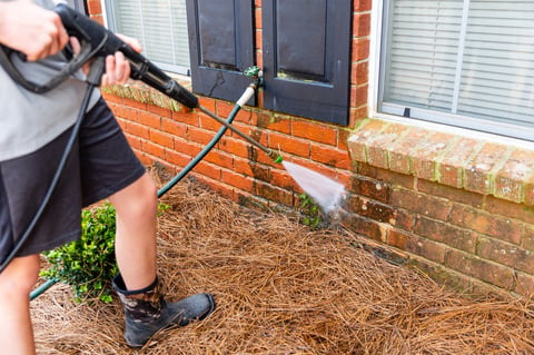 Professional exterior cleaning